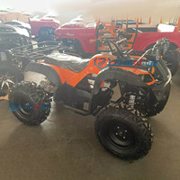Véhicule électrique de style mini jeep personnalisé en usine pour enfants et adultes, mini buggy jeep à essence ou électrique en vente