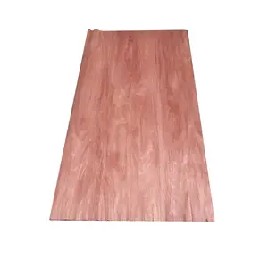 Supply All Kinds of Rotary cut pallet packaged natural wood veneer from Linyi supplier
