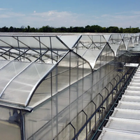 Serre commerciale de haute qualité avec ventilation papillon, recouverte d'un film plastique, ensemble complet pour la culture de légumes et de fruits