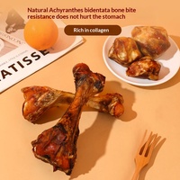 Tulang Sumsum Sapi Alami dengan Daging Asli - Kunyahan Gigi Tahan Lama untuk Pengunyah Agresif - Meningkatkan Kesehatan Gigi & Gusi