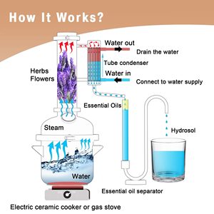 Distillateur d'huiles essentielles rétro en cuivre pur 8L Rose <span class=keywords><strong>Citron</strong></span> Lavande pour la maison, équipement de distillation d'hydrolat, machine à brasser - Product Image 6
