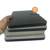 Panneaux de coffrage en plastique creux PP recyclables à surface lisse de 18 mm et 20 mm pour la construction en béton