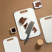 Planche à découper de cuisine en gros, planche à découper en plastique personnalisée avec coussin en silicone