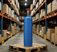 Bouteille de gaz He légère et portable de 1L d'origine turque pour ballons d'anniversaire, de mariage et de célébrations, avec OEM