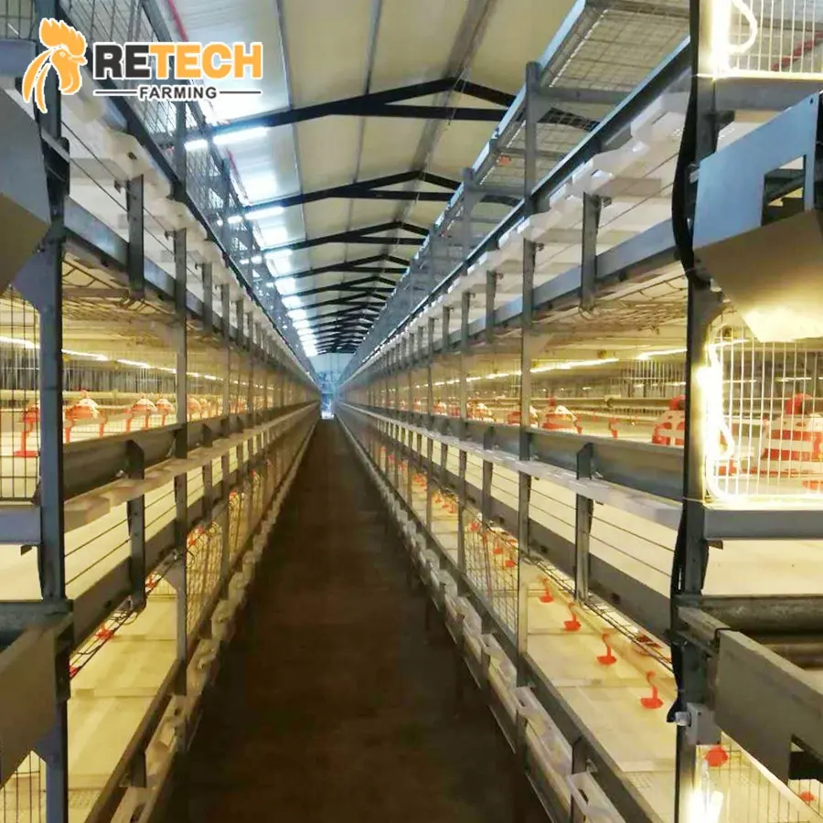 Desain Baru Rumah Unggas Sistem/Automatic Ayam Broiler Peralatan Pertanian untuk Dijual