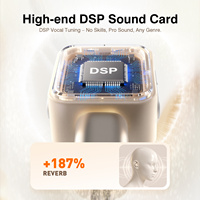 Écouteurs filaires Type-C V21 Pro avec carte son DSP, 5 modes vocaux, 4 effets sonores instantanés, micro ENC, casque intra-auriculaire pour diffusion en direct