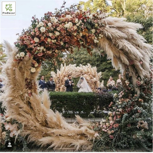 Photo <strong>Background</strong> <strong>Instagram</strong> Dried Preserved Pampas Grass Flowers - Product Image 3