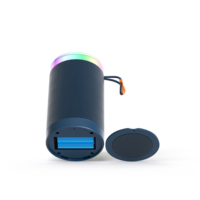 Altavoz Portátil Bluetooth 5.3 con Batería Extraíble, Altavoz Inalámbrico con Luz LED RGB, Tarjeta TF, Subwoofer Estéreo con Bajos