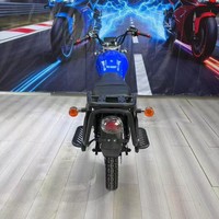 Electric Motorcycle 3000W 80km/h Adult 17 Inch High Carbon Steel Frame LED Headlight Disc Brake Hydraulic Suspension Cargo Rack