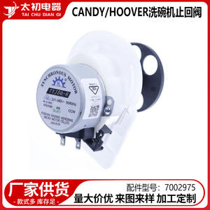 Valve de contrôle Candy Hoover pour lave-vaisselle 7002975, pièce électrique en plastique 0541 pour réparation de lave-vaisselle - Product Image 2