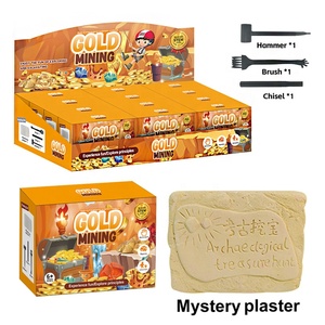 Kit de excavación de Arqueología de monedas de oro para niños juguete de excavación de Ciencia - Product Image 2
