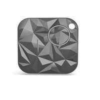 Gunakan Apple Find My Tag untuk Melacak Anak, Lansia, Hewan Peliharaan, Kunci, Dompet, Baterai yang Dapat Diganti, Warna-warni, Tahan Lama, NFC RFID