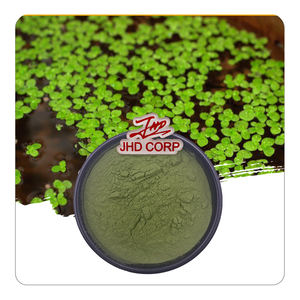 สารสกัดจากพืชออร์แกนิกจากคลังสินค้า USA / EU 100% <span class=keywords><strong>Lemna</strong></span> ธรรมชาติเล็กน้อย <span class=keywords><strong>L</strong></span> ผงสารสกัดจาก Duckweed - Product Image 1