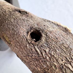 Top31 Vietnam Royal Style 5A 8-20Y Legno di Oud Naturale Invecchiato di Alta Qualità da Albero Antico, Incenso in Bastoncini di Legno Profumato Biologico Fatto a Mano - Product Image 5