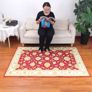 Modern Chinese Living Room Carpet Simple Bedroom Decoration Area Rug Large Porch <b>Door</b> <b>Mat</b> Absorbent Non-slip Bath <b>Mat</b> - Product Image 2