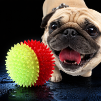 Pelotas para Perros de 7cm y 9cm, de Plástico TPR, con Púas, para Masticar, Limpieza Dental, Brillan en la Oscuridad, con LED Intermitente, Diseño de Dibujos Animados, Clásicas, con Sonido