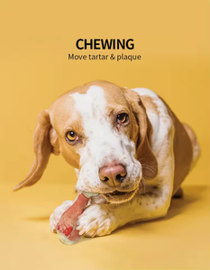 AFP Langlebiger Stress abbau Haustier Hund Kauen Knochen Rindfleisch Speck Geschmack Natur kautschuk Hund Kauen Knochen Spielzeug Für Aggressive Chewers - Product Image 3