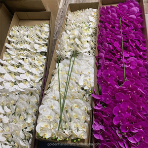 Bunga Anggrek Moth Dekoratif Sentuhan Nyata 3D <span class=keywords><strong>Phalaenopsis</strong></span> 9 Kepala Bunga Anggrek Lateks untuk Dekorasi Pernikahan dan Rumah - Product Image 1