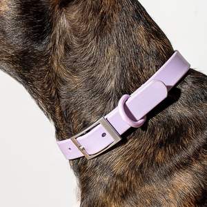 पीवीसी कुत्ते कॉलर और पालतू <span class=keywords><strong>Leashes</strong></span> दोहन सेट आउटडोर नरम निविड़ अंधकार एडजस्टेबल तेज साफ करने के लिए आसान - Product Image 2