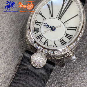 นาฬิกาข้อมือจักรกลสั่งทำระดับไฮเอนด์ Bre-guet OEM ODM ดีไซน์หรูหราทันสมัย ตัวเรือนเหล็ก กันน้ำ พร้อมหน้าปัดและกลไก Haiou - Product Image 2