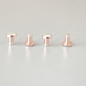 Fabrika satış doğrudan özelleştirilmiş Ag alaşım/Cu/AgNi iletişim kontrolörleri için perçin - Product Image 5