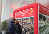 Tente gonflable modulaire TianYi Tech |   Tente d'événement extérieur avec structure en TPU, installation rapide et gonflables publicitaires personnalisés