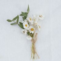 Mini Ramo de Flores Secas, Decoración para Tarjetas, Materiales para Manualidades, Accesorios para Fotografía, Caja de Regalo, Pequeño Recuerdo, Boutonniere