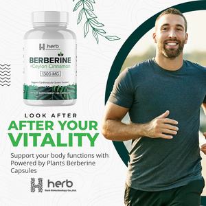 Capsules de berbérine en marque privée OEM/ODM - Complément de berbérine HCl naturelle de haute pureté - Product Image 2