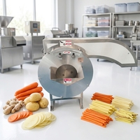 Commerciële friet snijmachine, aardappel, radijs, wortel, komkommer, stroopsnijder, industriële groentestokjes snijmachine