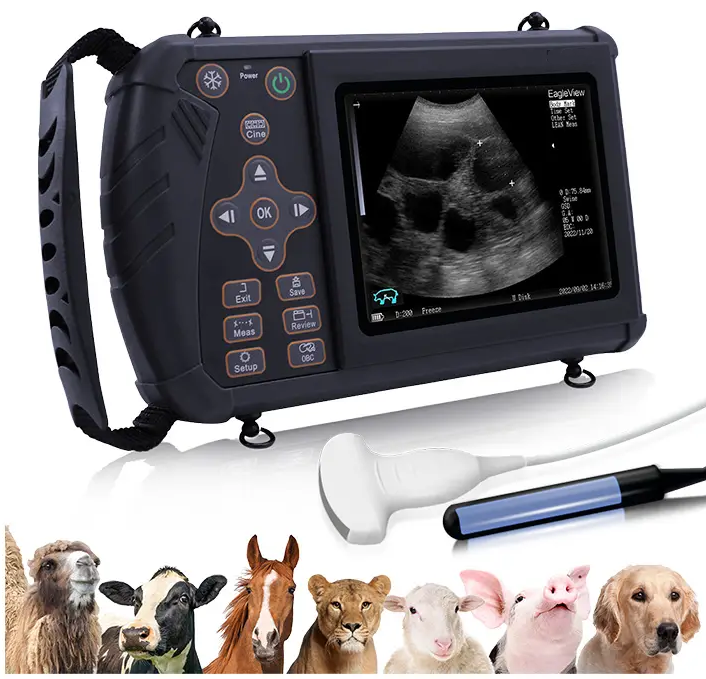 Veterinary Instrument Medical Computed Tomography CT