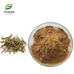 Заводская поставка, 100% натуральный экстракт шизенопеты, экстракт кошачьего ореха, порошок 99%, экстракт непеты катарии - Product Image 1