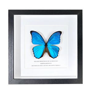 <span class=keywords><strong>Cornice</strong></span> Portafoto con Farfalla e Insetto, Dipinto Fai-da-Te, <span class=keywords><strong>Cornice</strong></span> a Specchio Artigianale, Verniciatura a Spruzzo, MDF, Vetro Vero, <span class=keywords><strong>Cornice</strong></span> Quadrata Cava - Product Image 5