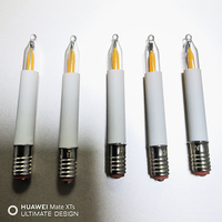 Ampoule à filament LED E5, Ampoule LED E5 12V pour tuyau d'eau, Ampoule LED E5 type bougie, Ampoule LED E5