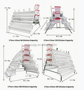 Sistema de jaulas para gallinas tipo A de 4 niveles para 128 gallinas con cinta automática de recolección de huevos y línea de alimentación por cadena de larga duración - Product Image 2