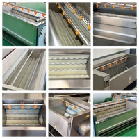 Máquina Eléctrica para Lavar y Pelar Piel de Yuca y Patata, Cepilladora y Peladora para Limpiar Jengibre y Batata