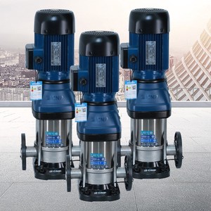 Pompe centrifuge verticale en fonte d'acier inoxydable pour traitement de l'eau, pompe à eau verticale CDM/CDMF - Product Image 2