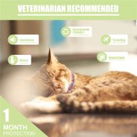 Vente en gros de collier apaisant pour chat de haute qualité, collier apaisant pour chat OEM/ODM, collier apaisant aux phéromones félines pour chat