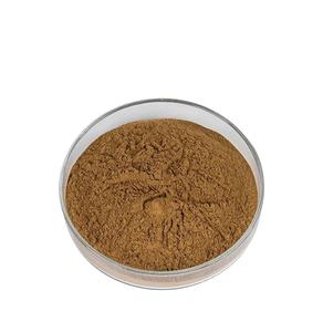 <span class=keywords><strong>Rododendro</strong></span>-Polvo de casicum para el cuidado de la salud, extracto orgánico de <span class=keywords><strong>rododendro</strong></span> - Product Image 5