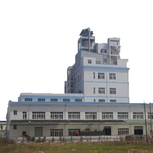 Detergent powder production line chemical manufacturing equipment for Manufacturing Plant