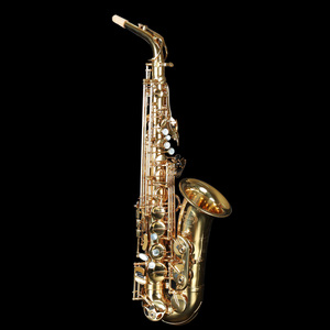 Saxophone alto en mi bémol de qualité professionnelle, haut de gamme, en laiton, avec caractéristiques personnalisables et clé F haute - Product Image 4