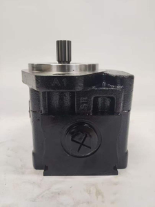 Pompe à engrenages hydraulique K1006377/035700L K1006377/035700LN pour excavatrice DX420LC/DX520LC, pour pompe de ventilateur - Product Image 3