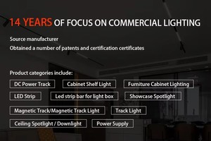 Siêu sáng COB điện áp cao Đèn Neon LED dòng đèn không thấm nước 110V 220V COB dải ánh sáng trần nhà phòng khách ngoài trời - Product Image 6