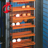 Cage à poulets entièrement automatique avec système automatique de collecte des œufs