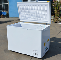 Congélateur coffre horizontal grande capacité WKN 2 portes à froid direct, température unique, N-ST Climate, excellente qualité, en promotion