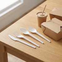 Ensemble de couverts jetables biodégradables compostables en CPLA de 6 pouces, qualité alimentaire, sans BPA, couteau, fourchette, cuillère, cuillère-fourchette, pour les fêtes, directement de l'usine