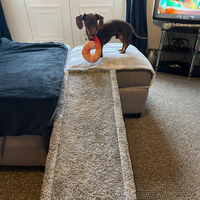 Logo personnalisé rampe pour chien escalier de sécurité robuste intérieur extérieur grimper rampe antidérapante équilibrée pour chien pour chien canapé