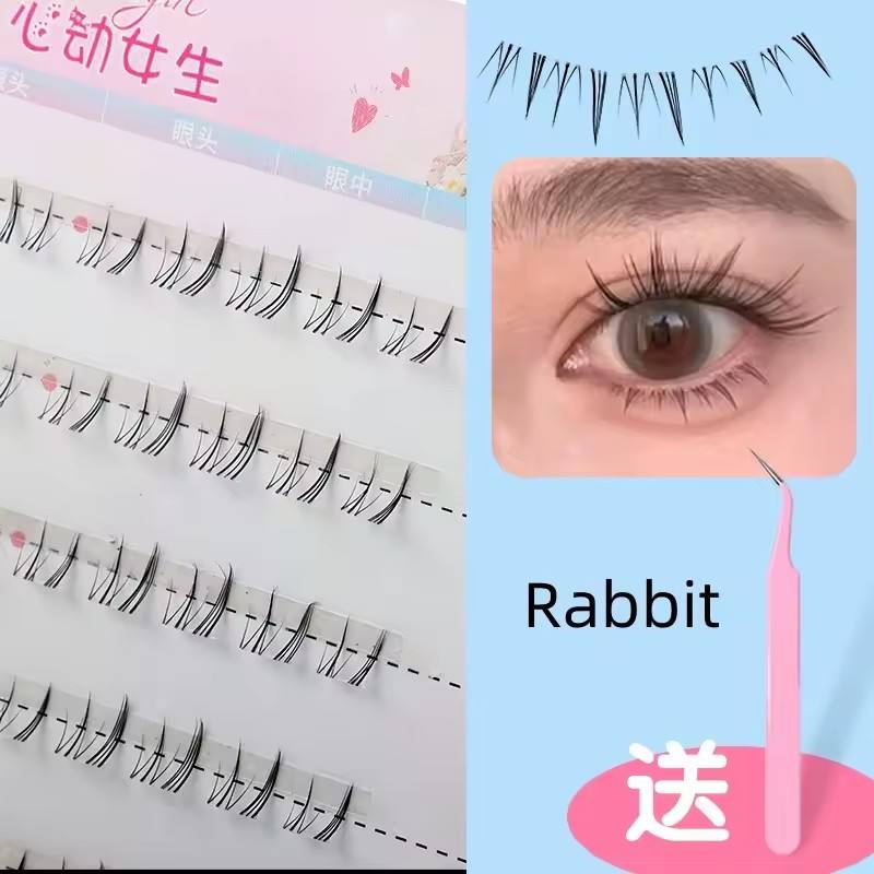 กระต่าย