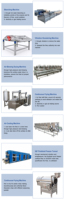 CoApex 4.0mm SUS304 Industriële Automatische Frites/Aardappelchipsfabriek 50-300kg/u met 2 jaar garantie voor uitbreiding