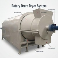 Sécheuse à tambour rotatif automatique à chauffage à l'huile avec composants de base à engrenages, capacité de 90 kg pour le séchage des noix, des céréales, des haricots, du riz, du maïs