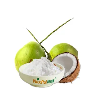 Nicepal ingrédients alimentaires extrait de plante crème glacée en poudre crème de noix de coco en poudre pour jus